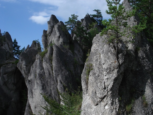 Súľovské skaly